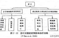 白茶的九大神奇功效：权威科学解读