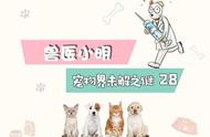 猫咪洗澡频率揭秘：每2个月洗一次澡真的正确吗？