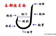 钓鱼新手必看：揭秘各种鱼钩的特性和用途