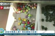 揭秘彩绘小乌龟：专家警告涂料有毒且外来入侵风险高