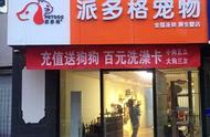 揭秘宠物店成功之道：不可或缺的专业知识