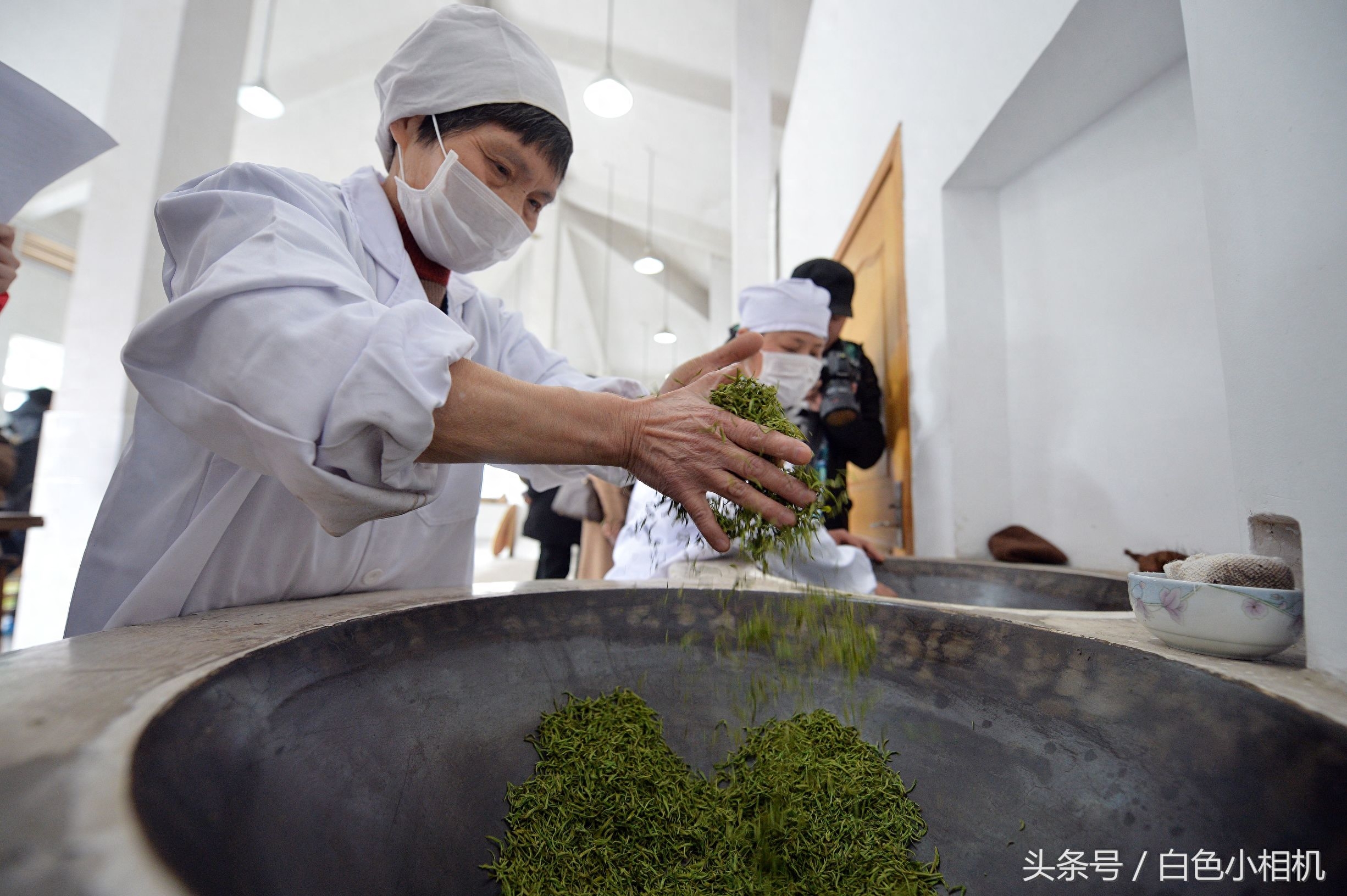 留香数十载 头锅钟山雨花茶开炒